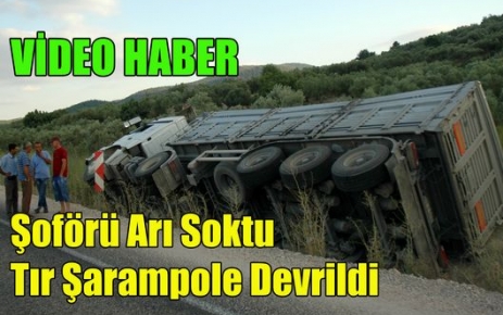 ŞOFÖRÜ ARI SOKTU,TIR ŞARAMPOLE DEVRİLDİ(VİDEO)