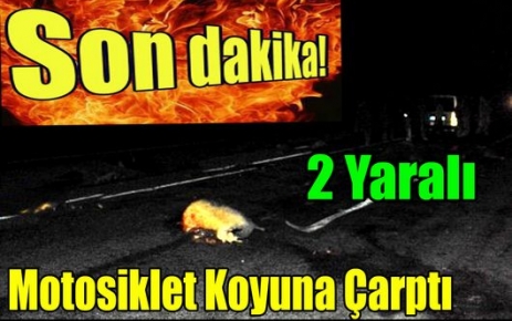 SON DAKİKA.MOTOSİKLET KOYUNA ÇARPTI 2 YARALI