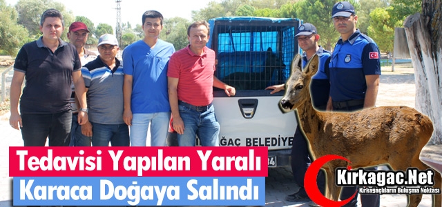 TEDAVİSİ YAPILAN YARALI KARA DOĞAYA SALINDI