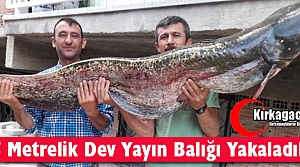 1.5 METRELİK DEV YAYIN BALIĞI YAKADILAR