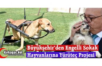 ENGELLİ HAYVANLARA YÜRÜTEÇ PROJESİ