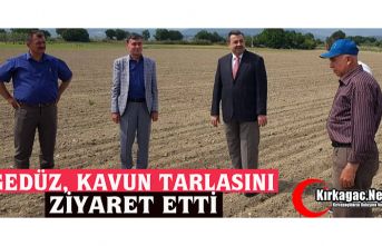 GEDÜZ, KAVUN TARLASINI ZİYARET ETTİ