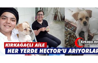 HER YERDE HECTOR'U ARIYORLAR