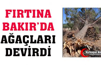 FIRTINA BAKIR'DA AĞAÇLARI DEVİRDİ