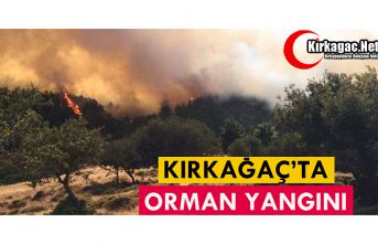 KIRKAĞAÇ’TA ORMAN YANGINI