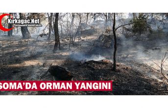 SOMA'DA ORMAN YANGINI