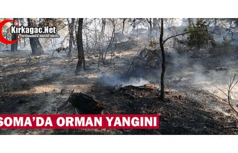 SOMA'DA ORMAN YANGINI