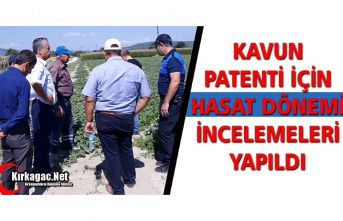 KAVUN PATENTİ İÇİN HASAT DÖNEMİ İNCELEMELERİ...