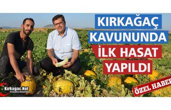 KIRKAĞAÇ KAVUNUNDA İLK HASAT YAPILDI(ÖZEL HABER)