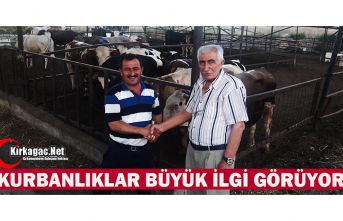 KIRKAĞAÇ'TA KURBANLIKLARA İLGİ BÜYÜK