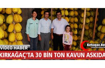 KIRKAĞAÇ’TA 30 BİN TON KAVUN ASKIDA(ÖZEL HABER)