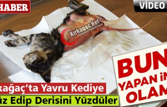 KIRKAĞAÇ’TA KEDİNİN DERİSİNİ YÜZDÜLER(ÖZEL...