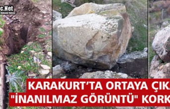 KARAKURT’TA ORTAYA ÇIKAN "İNANILMAZ GÖRÜNTÜ" KORKUTTU