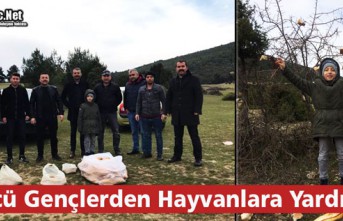 ÜLKÜCÜ GENÇLERDEN HAYVANLARA YARDIM ELİ