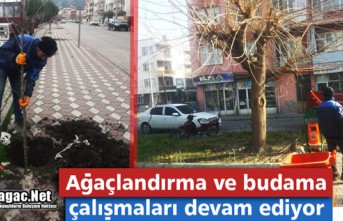 AĞAÇLANDIRMA ve BUDAMA ÇALIŞMALARI DEVAM EDİYOR