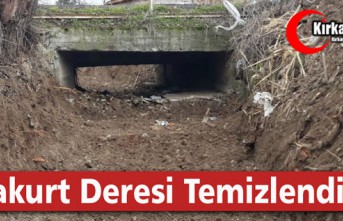 KARAKURT DERESİ TEMİZLENDİ