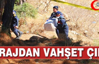 BARAJDAN VAHŞET ÇIKTI