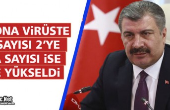 ÖLÜ SAYISI 2'YE, VAKA SAYISI İSE 191'E YÜKSELDİ