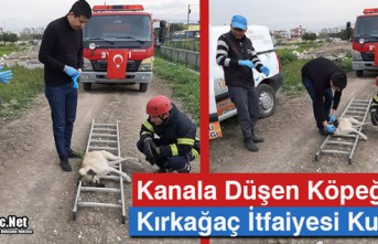 KANALA DÜŞEN KÖPEĞİ KIRKAĞAÇ İTFAİYESİ KURTARDI