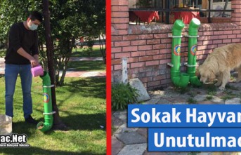 SOKAK HAYVANLARI UNUTULMADI