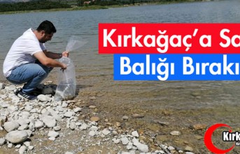 72 BİN PULLU SAZAN BALIĞI YAVRUSU SUYLA BULUŞTU