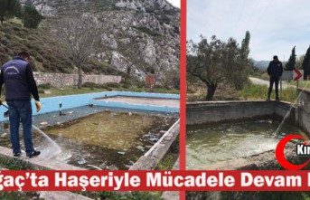 KIRKAĞAÇ'TA HAŞERİYLE MÜCADELE DEVAM EDİYOR