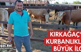 KIRKAĞAÇ'TA KURBANLIKLARA İLGİ BÜYÜK