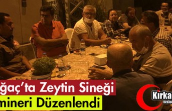 KIRKAĞAÇ'TA ZEYTİN SİNEĞİ SEMİNERİ İLGİ GÖRDÜ