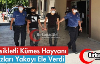 MOTOSİKLETLİ KÜMES HAYVANI HIRSIZLARI YAKAYI ELE...