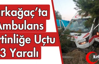 KIRKAĞAÇ'TA AMBULANS ZEYTİNLİĞE UÇTU