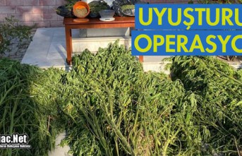 UYUŞTURUCU OPERASYONU