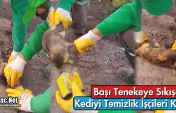 BAŞI TENEKEYE SIKIŞAN KEDİYİ TEMİZLİK İŞÇİLERİ...