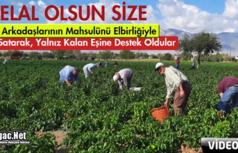 HELAL OLSUN..ÖLEN ARKADAŞLARININ MAHSULÜNÜ ELBİRLİĞİYLE TOPLADILAR