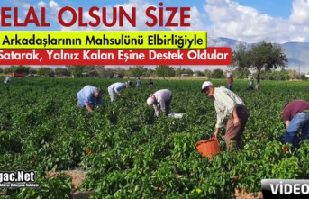 HELAL OLSUN..ÖLEN ARKADAŞLARININ MAHSULÜNÜ ELBİRLİĞİYLE...