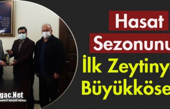 HASAT SEZONUNUN İLK ZEYTİNYAĞI BÜYÜKKÖSE'YE