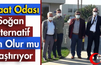 ZİRAAT ODASI "SOĞAN ALTERNATİF ÜRÜN OLUR...