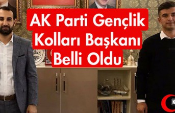 AK PARTİ GENÇLİK KOLLARI BAŞKANI BELLİ OLDU