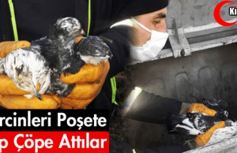 GÜVERCİNLERİ POŞETE KOYUP ÇÖPE ATTILAR