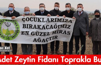 KIRKAĞAÇ'TA BİN ADET ZEYTİN FİDANI TOPRAKLA...