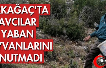 KIRKAĞAÇ'TA AVCILAR YABAN HAYVANLARINI UNUTMADI