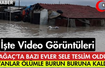 BAZI EVLER SELE TESLİM OLDU, HAYVANLAR ÖLÜMLE BURUN BURUNA KALDI