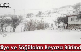 HAMİDİYE ve SÖĞÜTALAN BEYAZA BÜRÜNDÜ