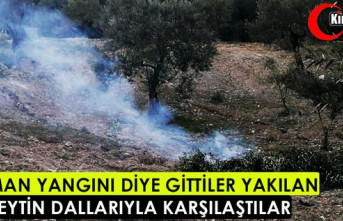 ORMAN YANGINI DİYE GİTTİLER YAKILAN ZEYTİN DALLARIYLA KARŞILAŞTILAR