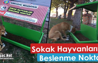 BELEDİYEDEN SOKAK HAYVANLARI İÇİN “BESLENME NOKTASI”