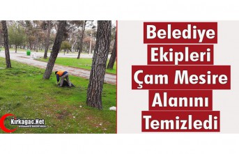 BELEDİYE EKİPLERİ ÇAM MESİRE ALANINI TEMİZLEDİ