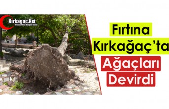 KIRKAĞAÇ'TA FIRTINA AĞAÇLARI DEVİRDİ