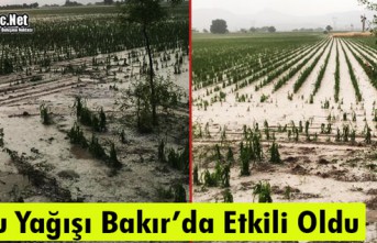 DOLU YAĞIŞI BAKIR’DA ETKİLİ OLDU