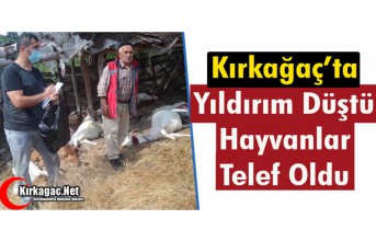 KIRKAĞAÇ'TA YILDIRIM DÜŞTÜ, HAYVANLAR TELEF OLDU