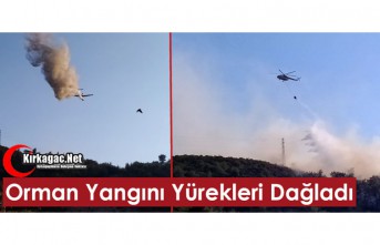 ORMAN YANGINI YÜREKLERİ DAĞLADI