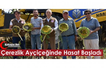 KIRKAĞAÇ'TA ÇEREZLİK AYÇİÇEĞİNDE HASAT...